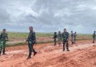 Pangdam XXIV/MT Tinjau Food Estate Wanam, Perkuat Komitmen Ketahanan Pangan Nasional