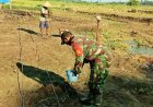 Program Swasembada Pangan Lahan CSR 3 Hektare, Petani Tanam Padi Gogo Varietas Sintanur